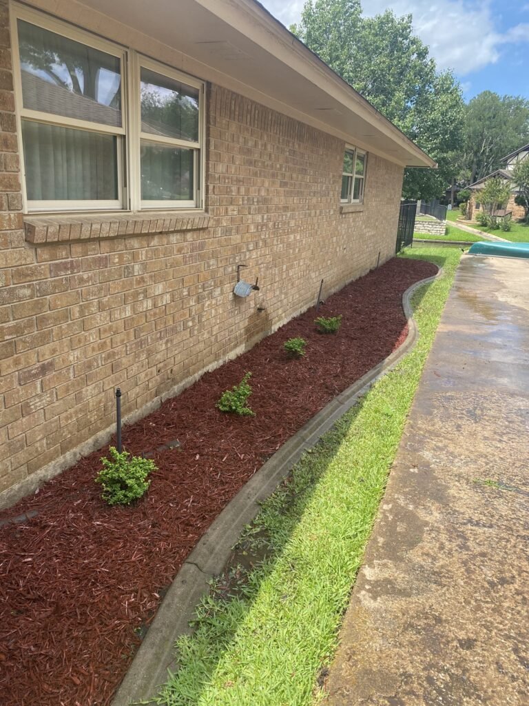 Olvera Lawn Care Services