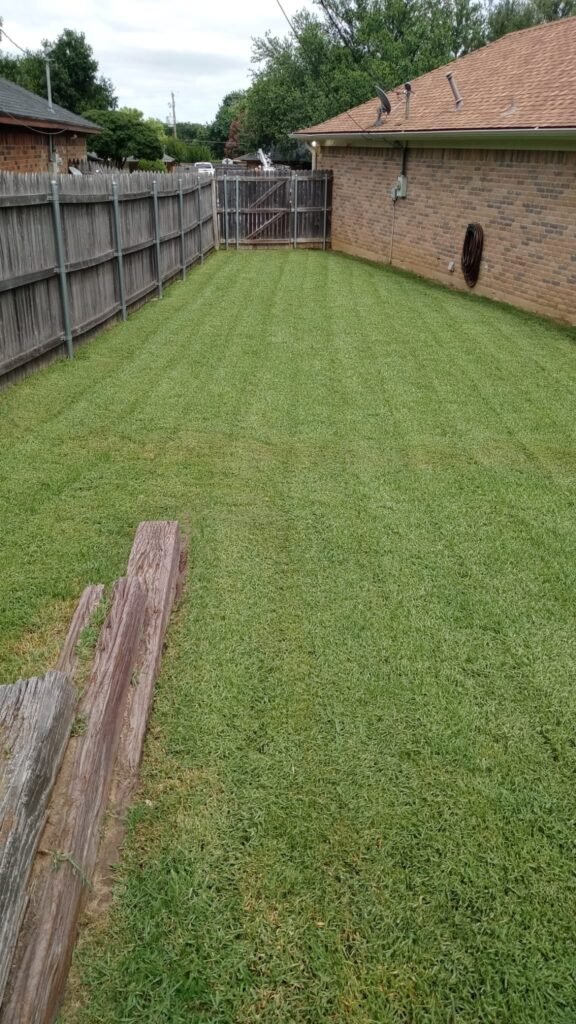 Olvera Lawn Care Services