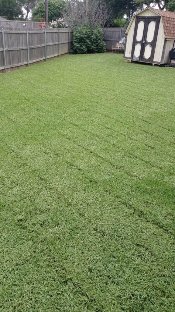 Olvera Lawn Care Services