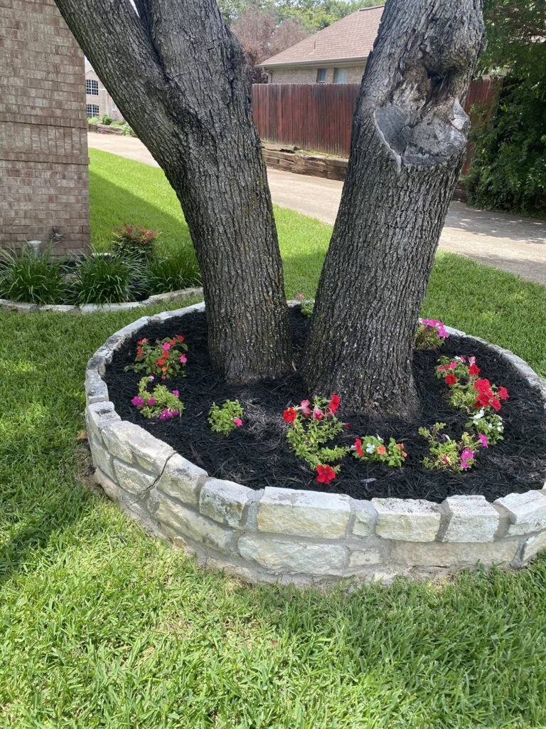 Olvera Lawn Care Services