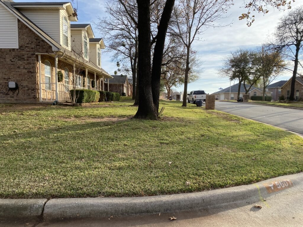 Olvera Lawn Care Services